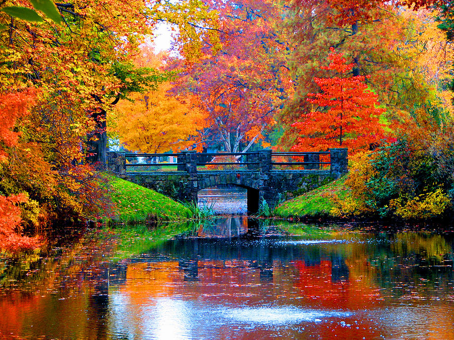 Autumn in Boston Photograph by Marie Jamieson