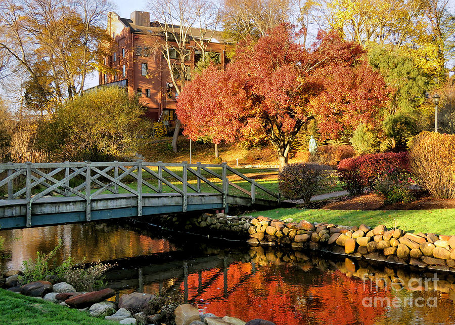 Fall Photograph - Autumn in Brewster Gardens by Janice Drew