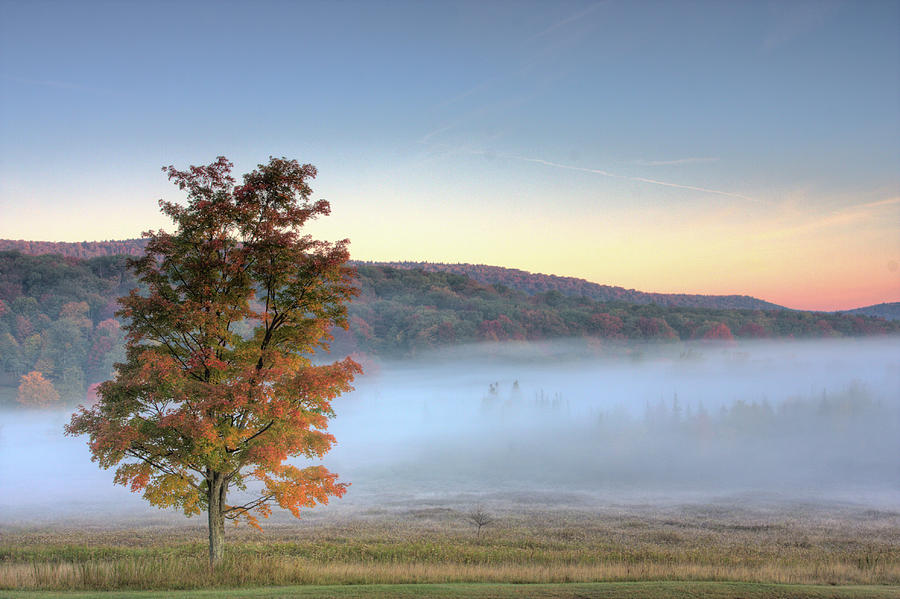 Autumn in Canaan Valley WV  Photograph by Jack Nevitt