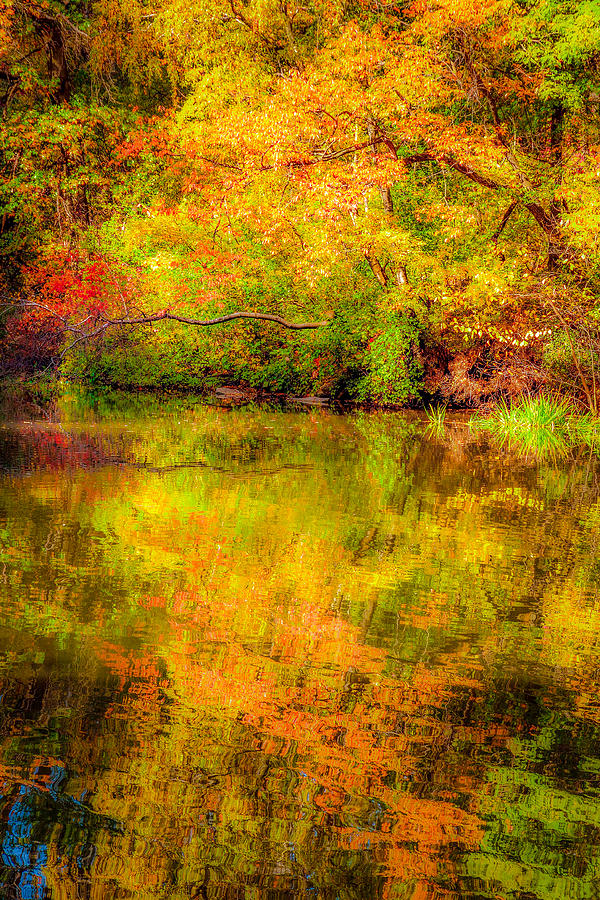 Autumn In Central Park 3 Photograph by Kenneth Laurence Neal