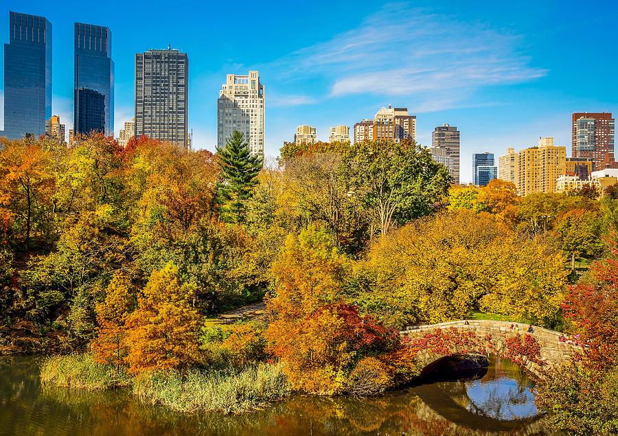 Autumn in Central Park 2 Photograph by Kenneth Laurence Neal - Fine Art ...
