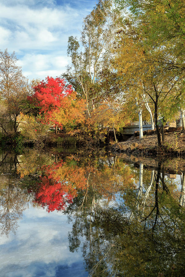 Autumn In Chico Photograph by James Eddy