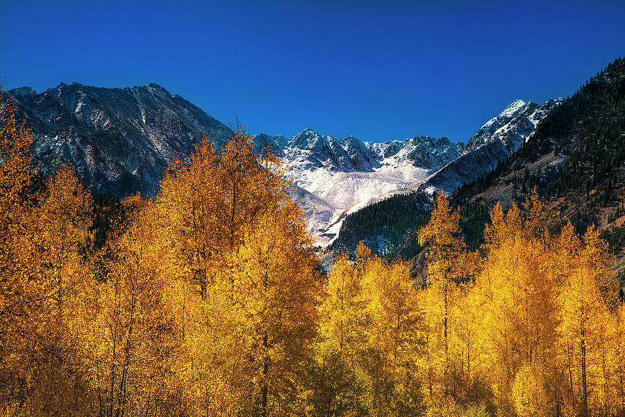 Autumn In Colorado Photograph by Andrew Soundarajan