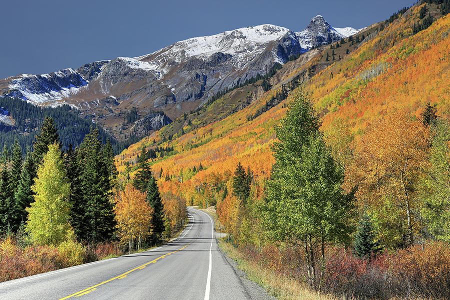 Autumn In Colorado Photograph by Donna Kennedy