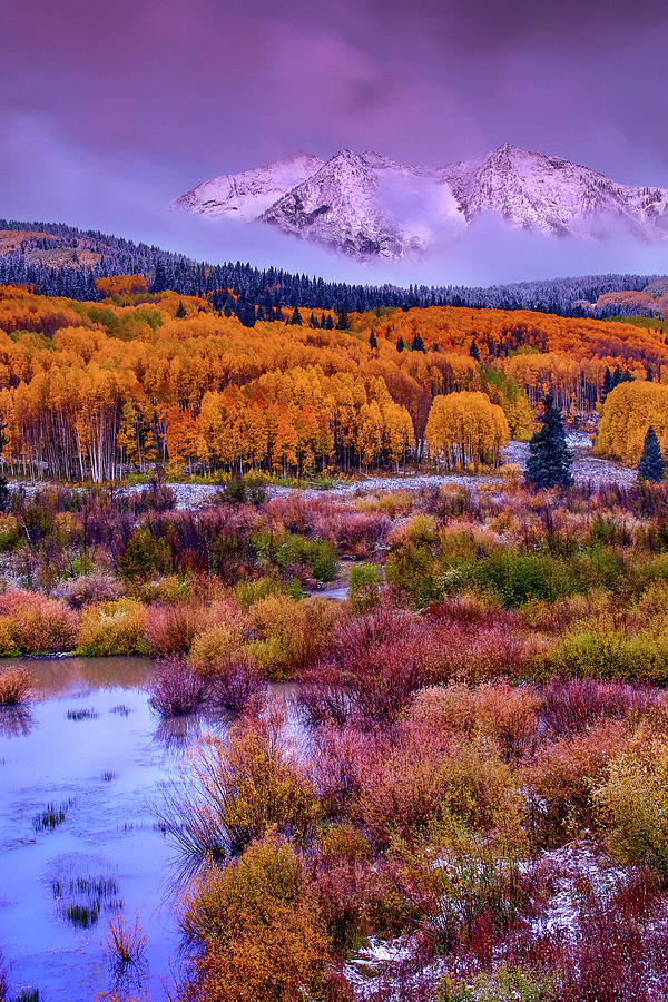 Autumn In Colorado Photograph by John De Bord
