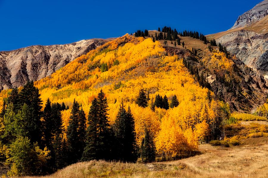 Autumn In Colorado Photograph by Mountain Dreams