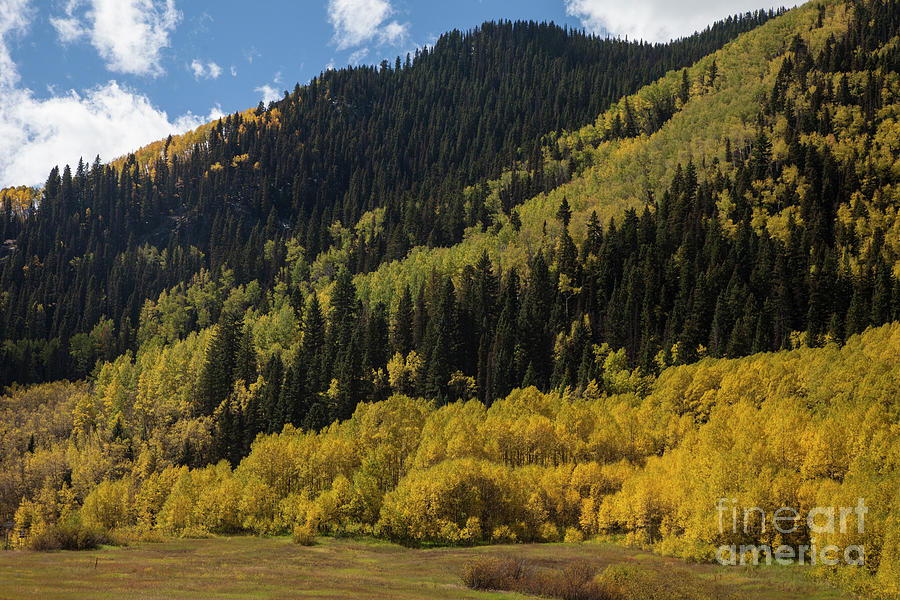 Autumn in Colorado Photograph by Timothy Johnson