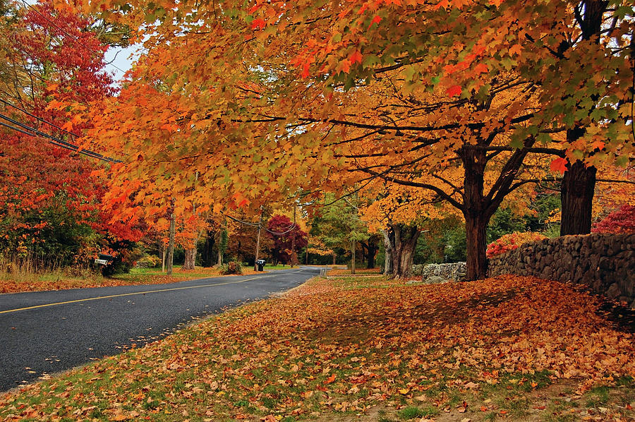 Autumn in Connecticut Photograph by Ben Prepelka
