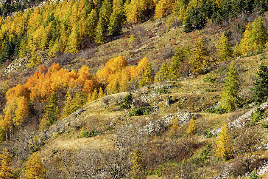 Autumn in French Alps - 14 Photograph by Paul MAURICE