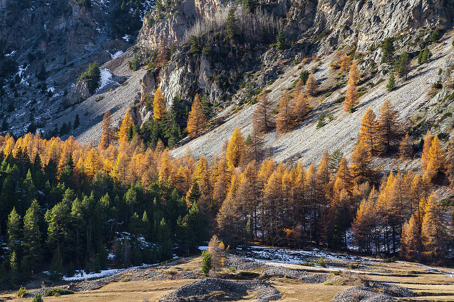 Autumn in French Alps - 15 Photograph by Paul MAURICE