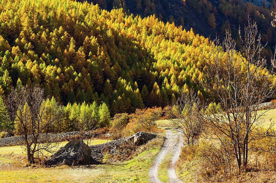 Autumn in French Alps - 2 Photograph by Paul MAURICE