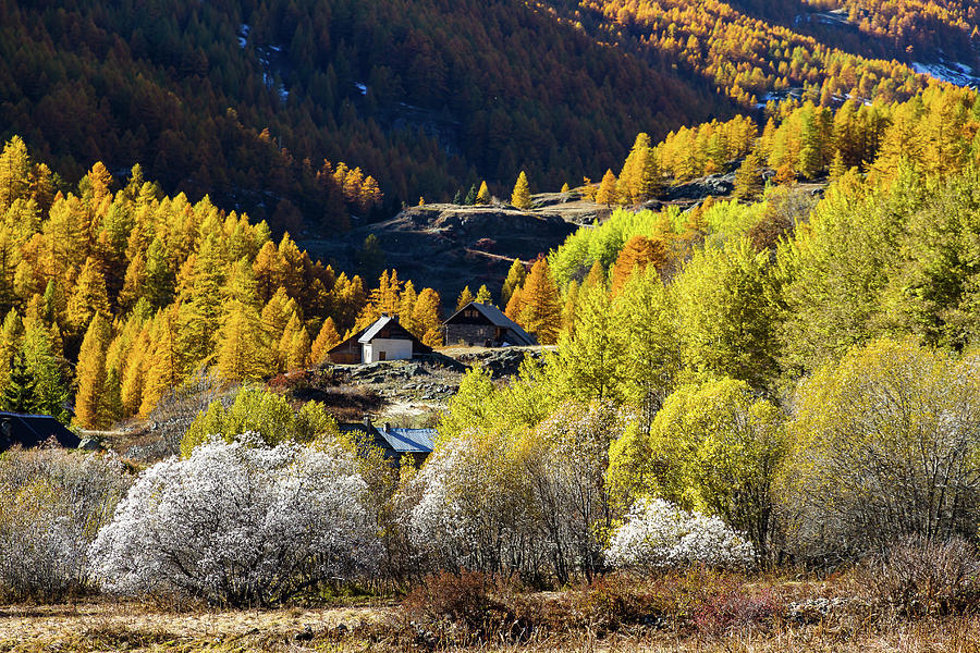Autumn in French Alps - 7 Photograph by Paul MAURICE