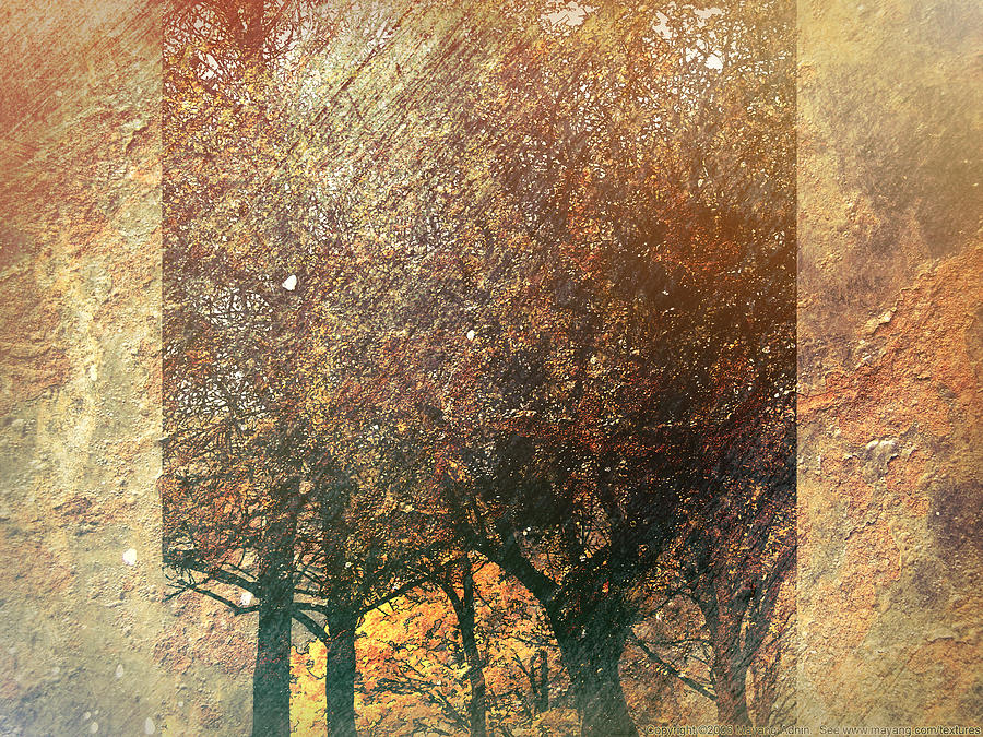 Autumn in Gold  Digital Art by Cathy Anderson