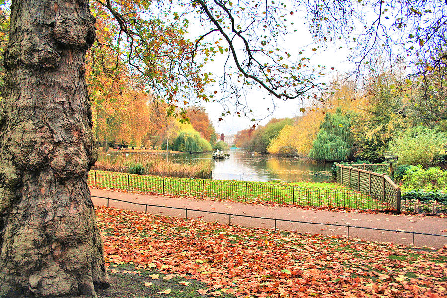 Autumn in Green Park Photograph by Gordon Elwell