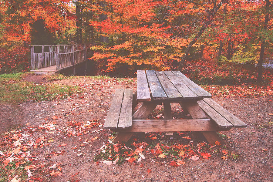 Autumn In High Bridge by Pat Abbott Autumn In High Bridge by Pat Abbott
