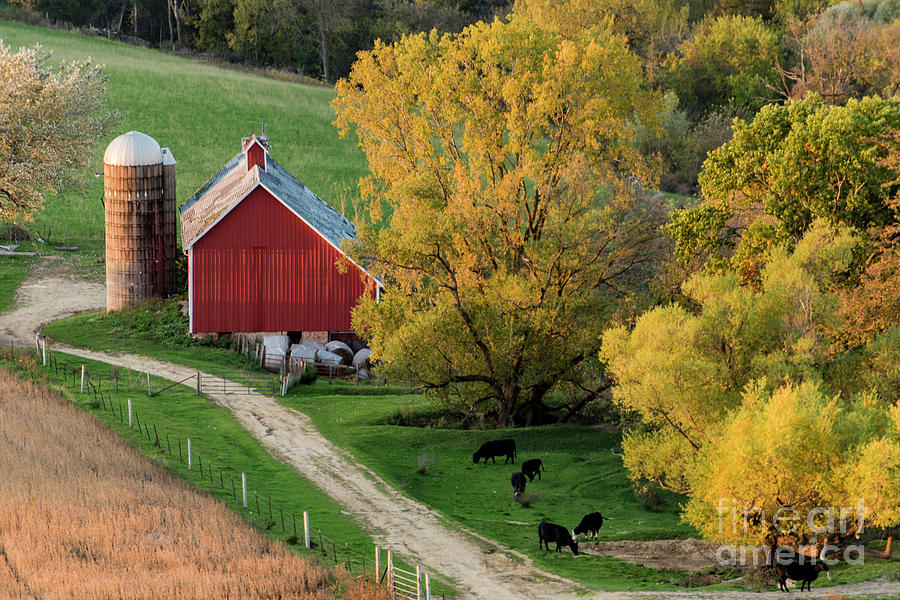 Autumn in Iowa Photograph by Willard Sharp - Pixels