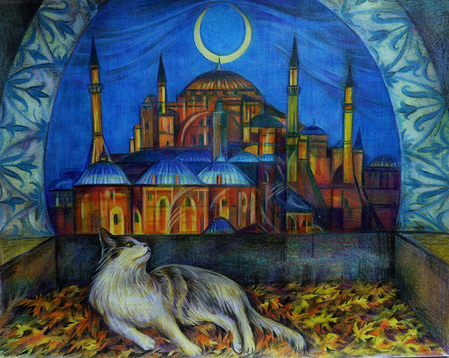 Autumn in Istanbul Drawing by Anna Duyunova