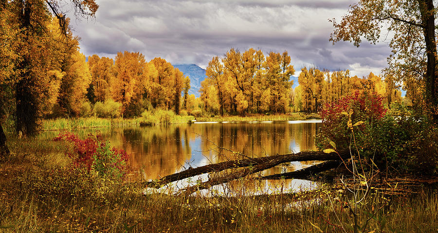 Autumn In Jackson Wyoming Photograph By TL Mair - Fine Art America