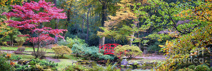 autumn  in Japanese park Photograph by Ariadna De Raadt