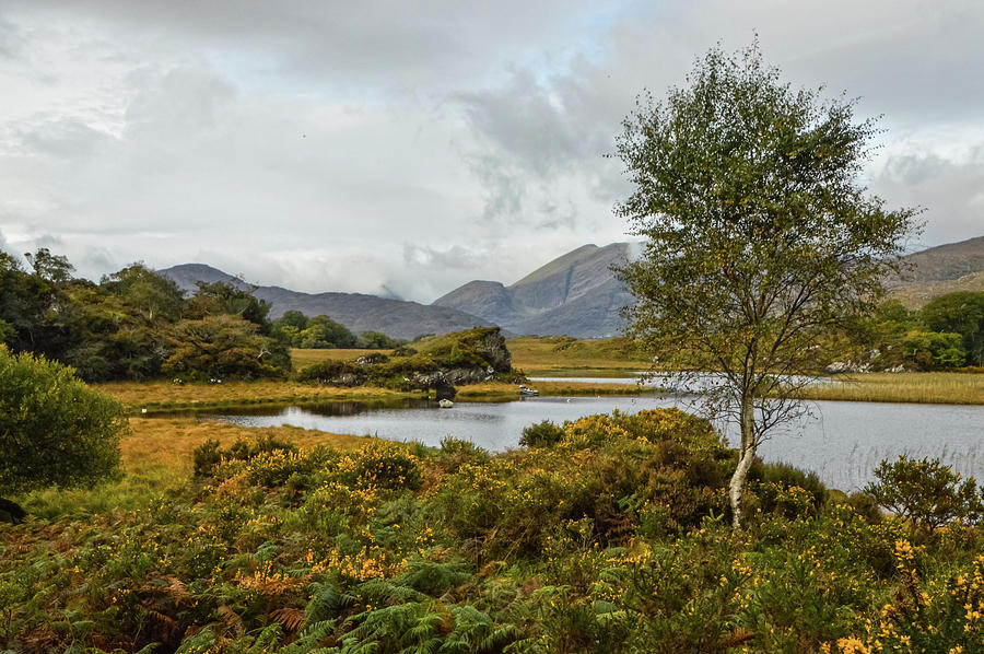 Autumn in Killarney Photograph by Mauverneen Zufa Blevins