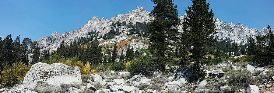 Autumn in Kings Canyon Photograph by Brenda Smith DVM