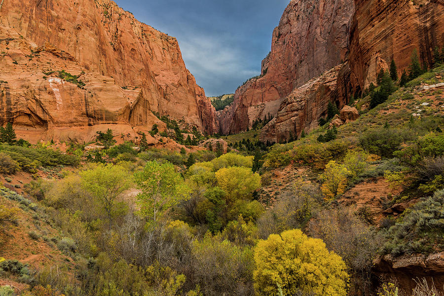 Autumn in Kolob Canyons Photograph by Donald Pash