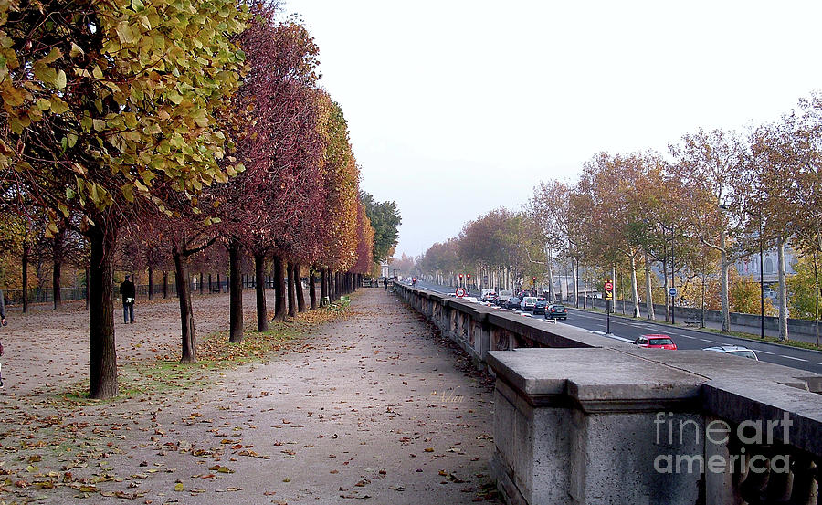 Autumn in Layers - Paris Photograph by Felipe Adan Lerma
