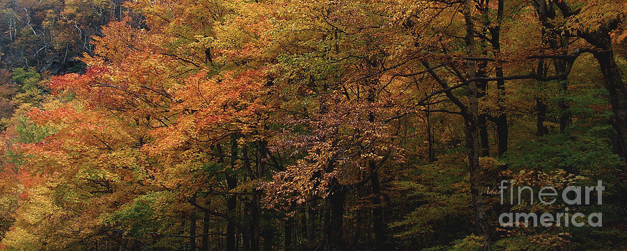 Autumn in Layers - Stowe Vermont Panorama Photograph by Felipe Adan Lerma