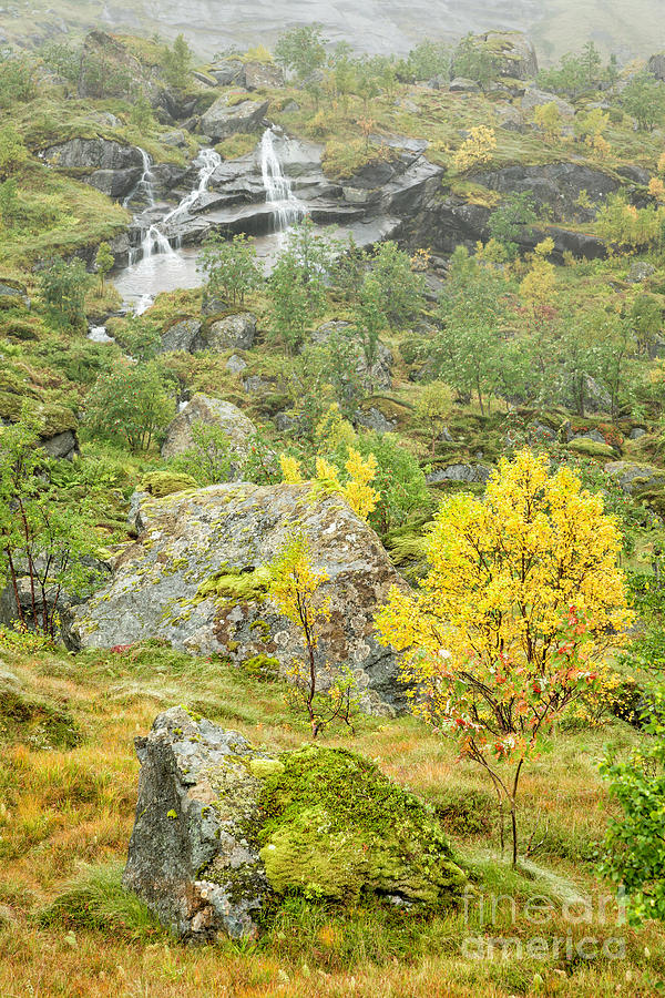 Autumn In Lofoten 5 Photograph by Timothy Hacker