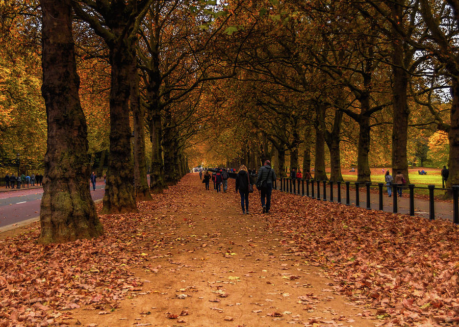 Autumn in London Photograph by Irena Kazatsker Fine Art America