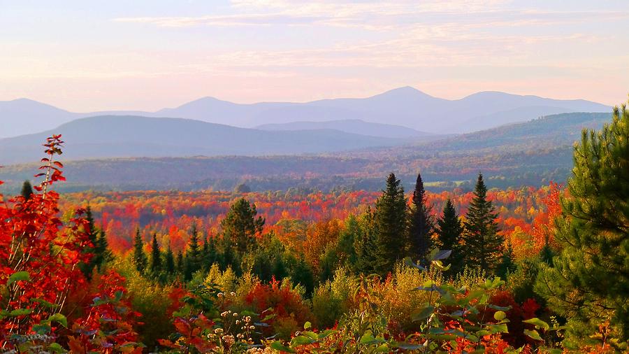 Autumn in Maine Photograph by Mike Breau