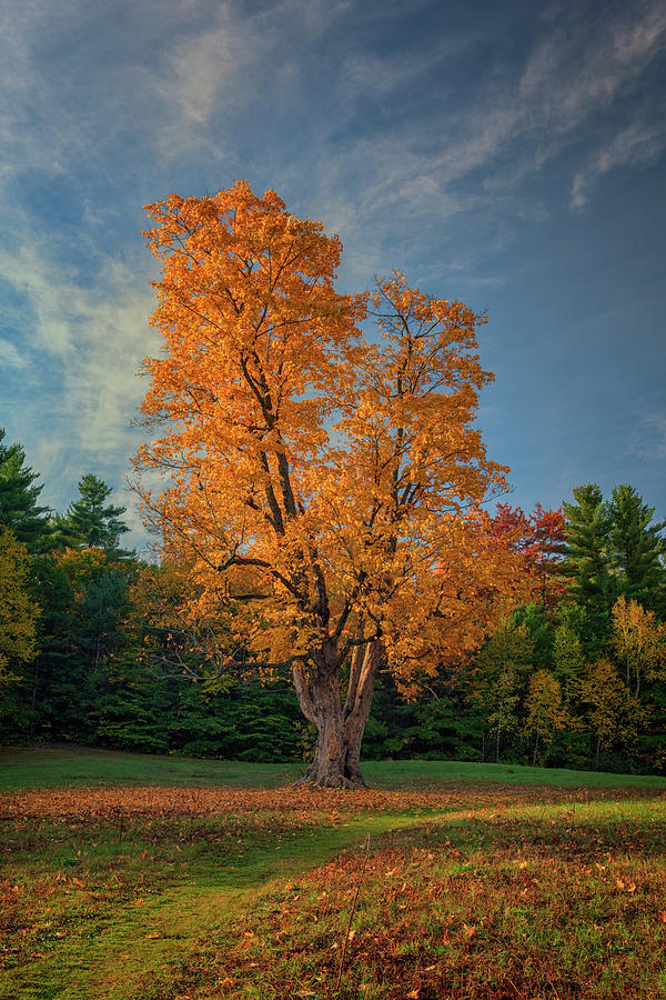 Fall Photograph - Autumn in Maine by Rick Berk