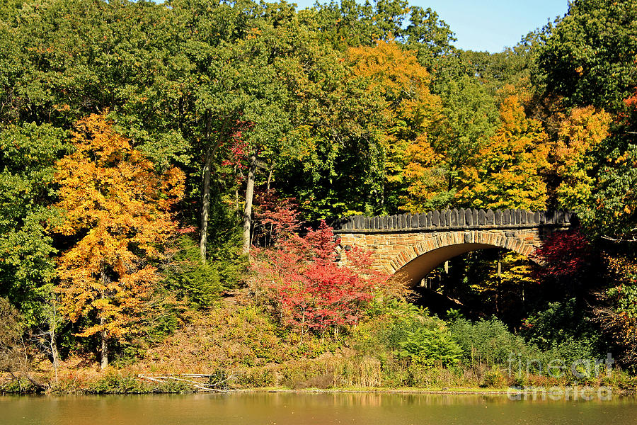 Autumn in Mill Creek Park Photograph by Terri Mills