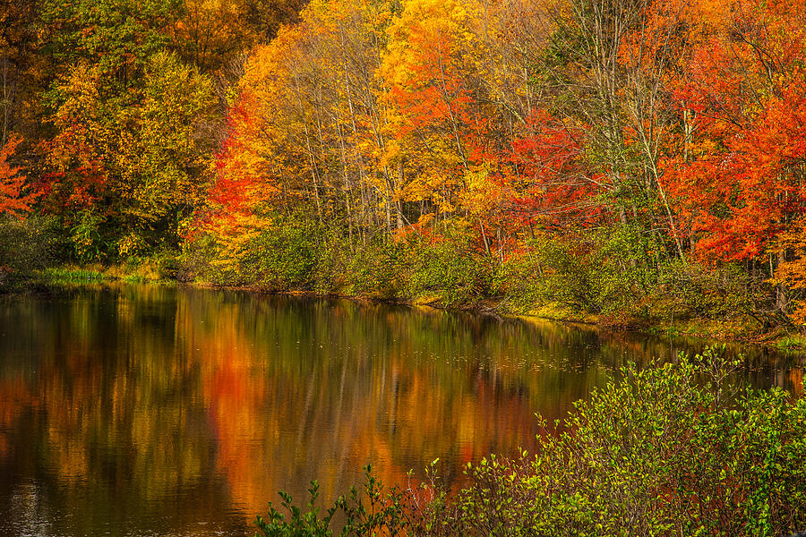 Autumn In Monroe Photograph