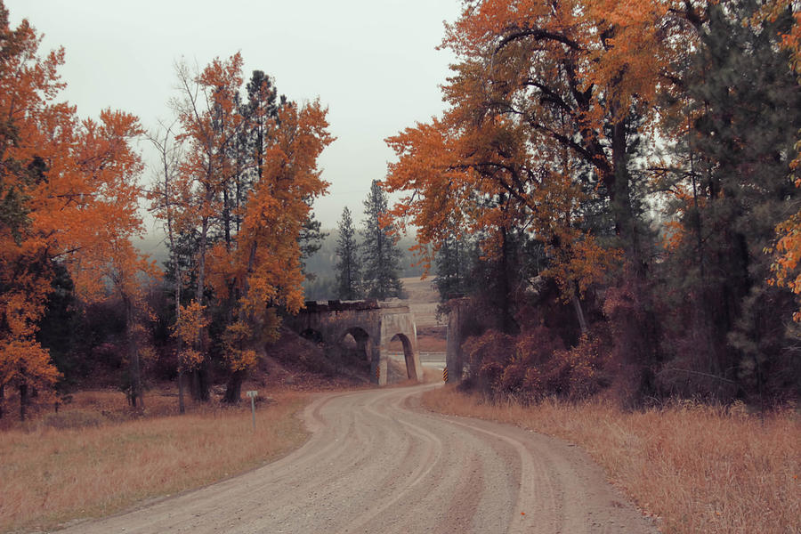 Autumn in Montana Photograph by Cathy Anderson