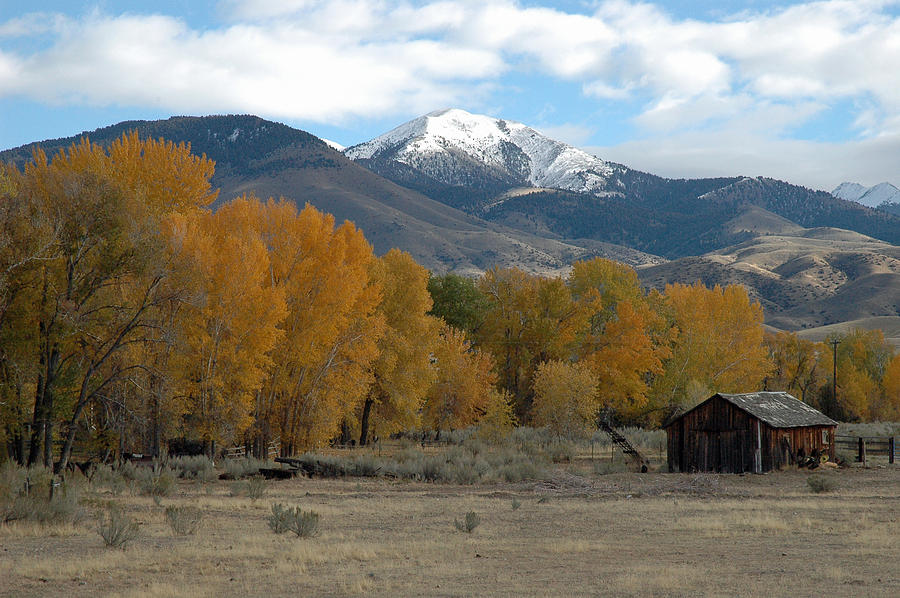 Autumn in Montanas Madison Valley Photograph by Bruce Gourley