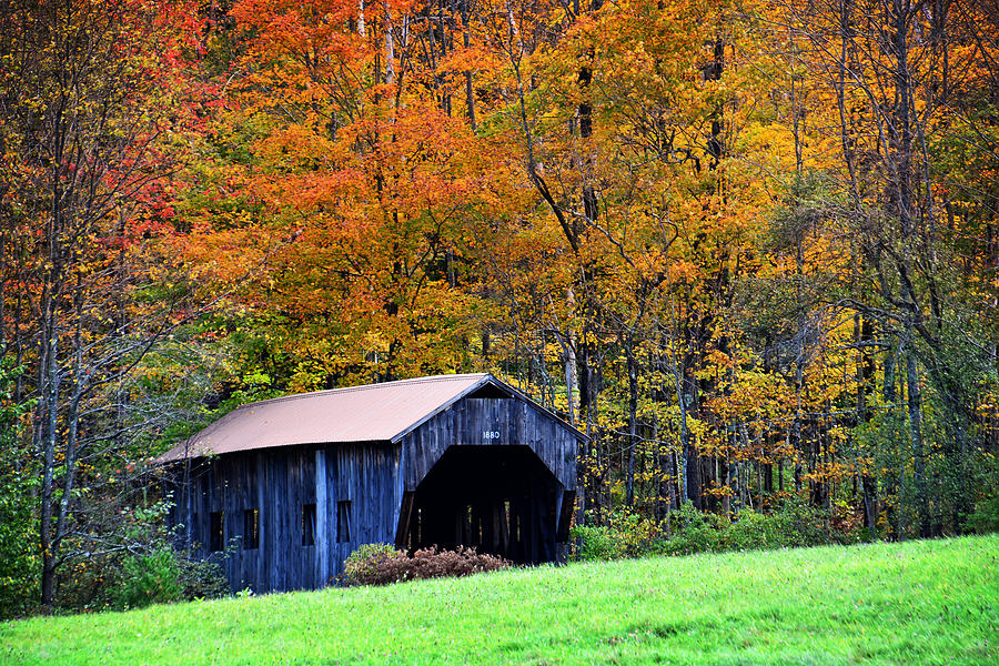 Autumn in New England Photograph by Mike Martin