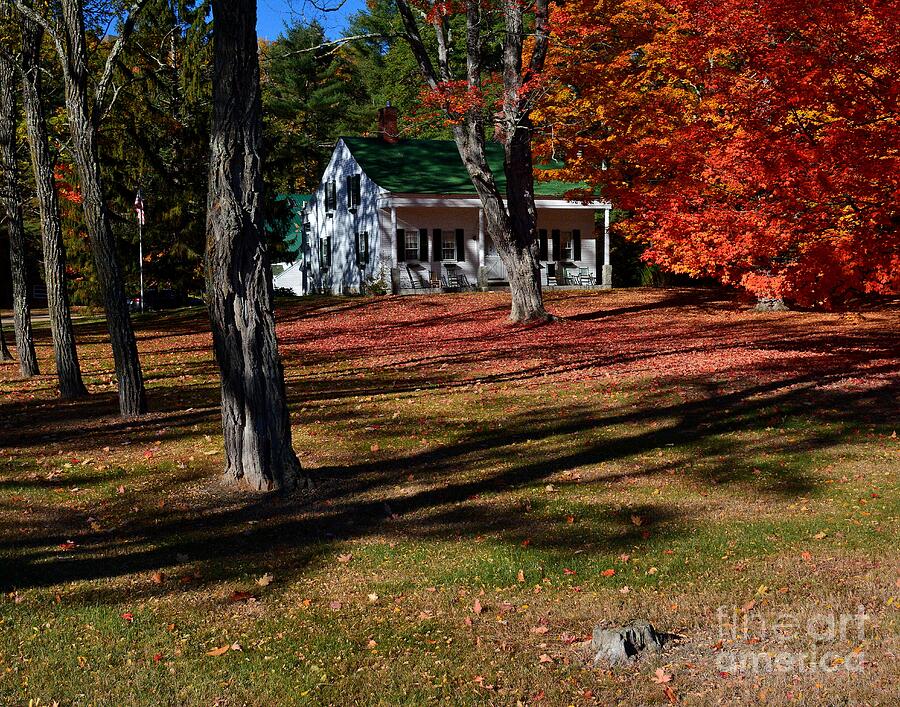 Autumn in New England Photograph by Steve Brown