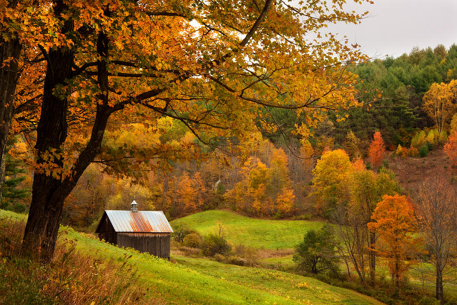 Rural Scene Photograph - Autumn in New England - Sugarhouse and Barns in Fall by Joann Vitali