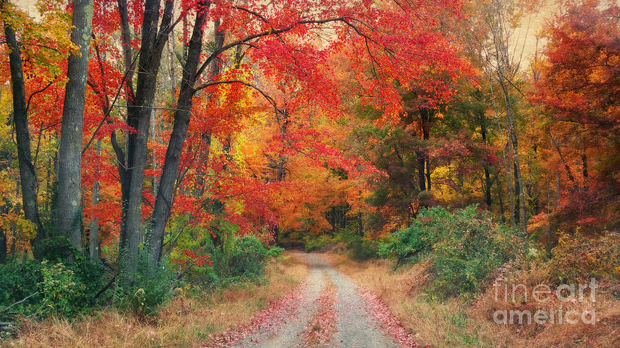 Autumn In New Jersey Photograph by Beth Ferris Sale