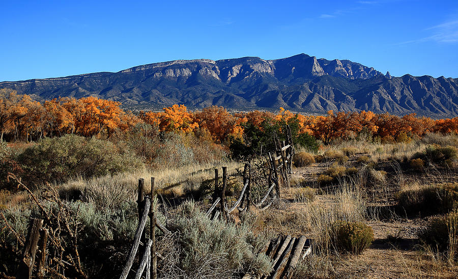 Albuquerque Photograph - Autumn in New Mexico by Anthony Sekellick