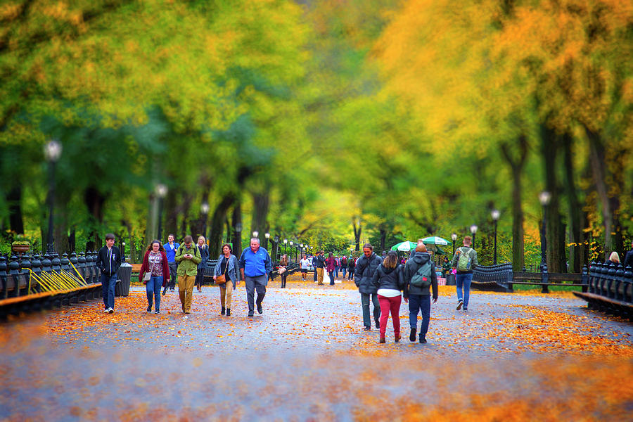 Autumn in New York Photograph by Mark Andrew Thomas