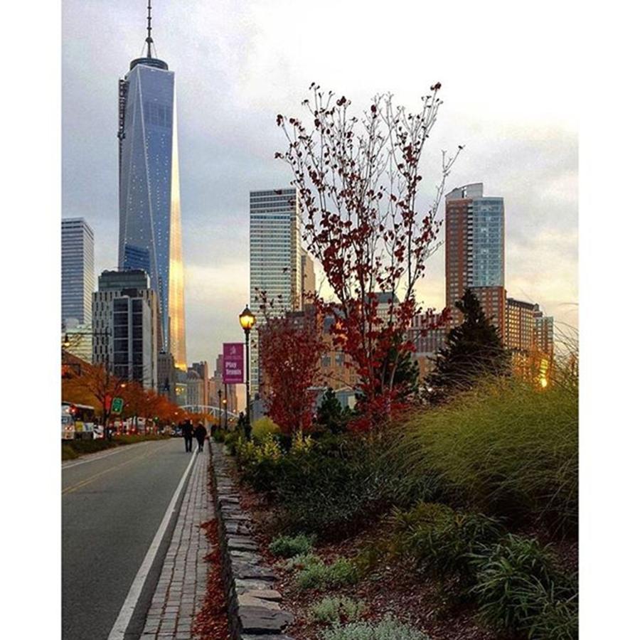 Fall Photograph - Autumn In New York by Janel Cortez