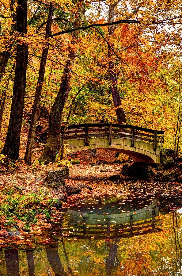 Autumn in Ohio Photograph by David Kelso - Fine Art America