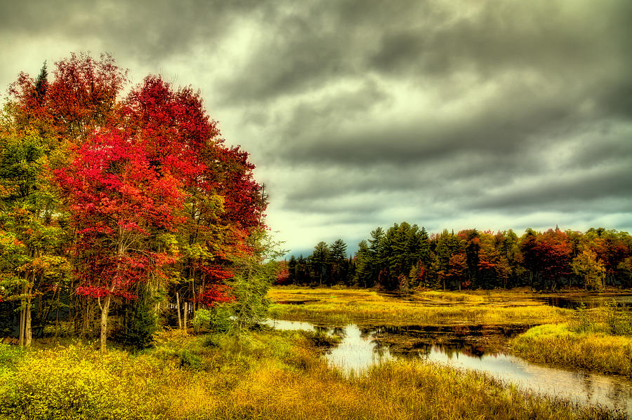 Fall Photograph - Autumn in Old Forge by David Patterson