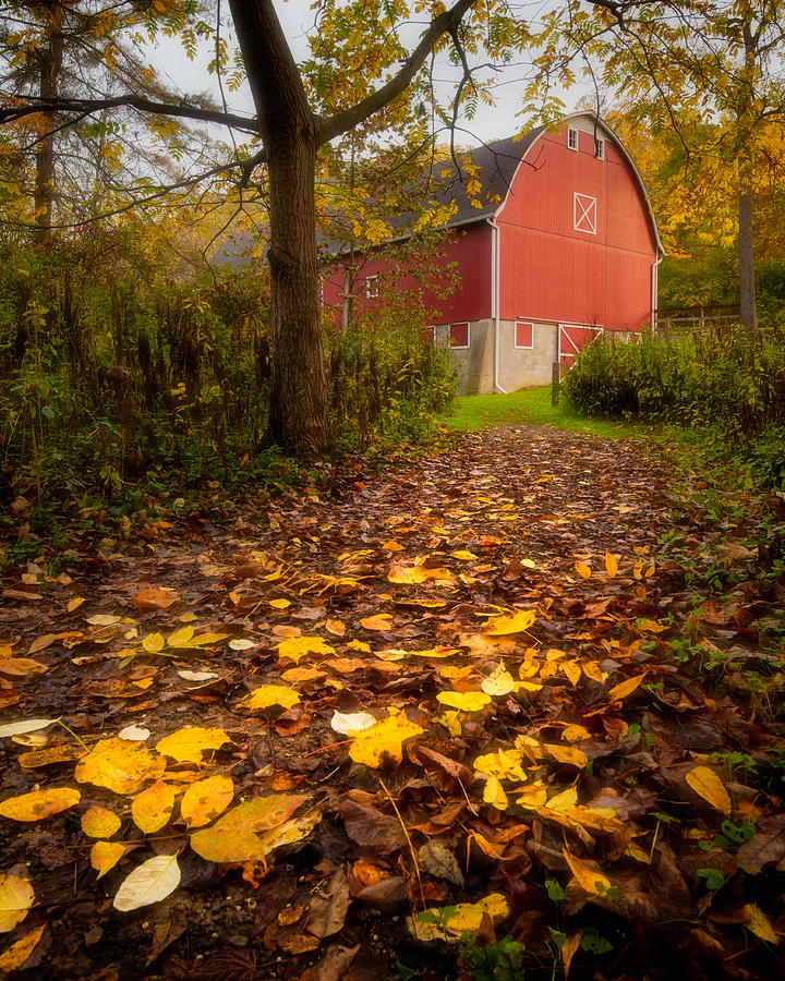 Autumn in ONeil Woods Photograph by Matt Hammerstein
