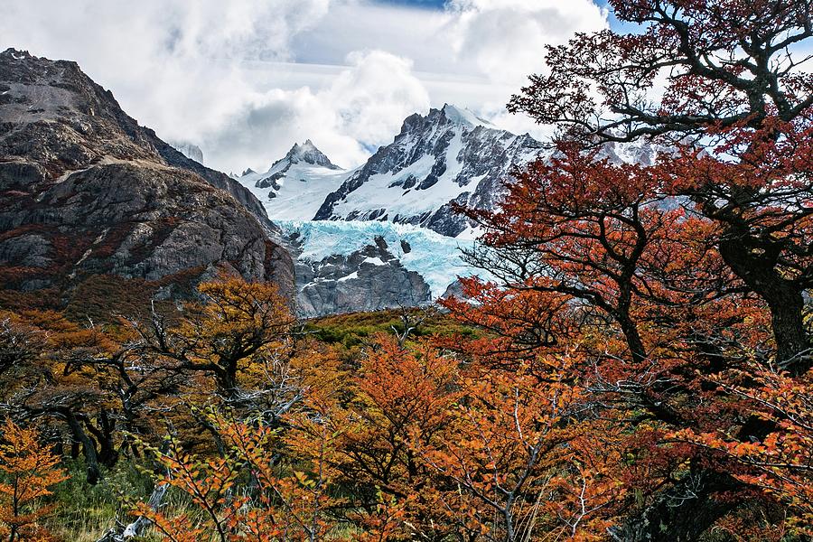 Autumn in Patagonia  Photograph by Ryan Weddle