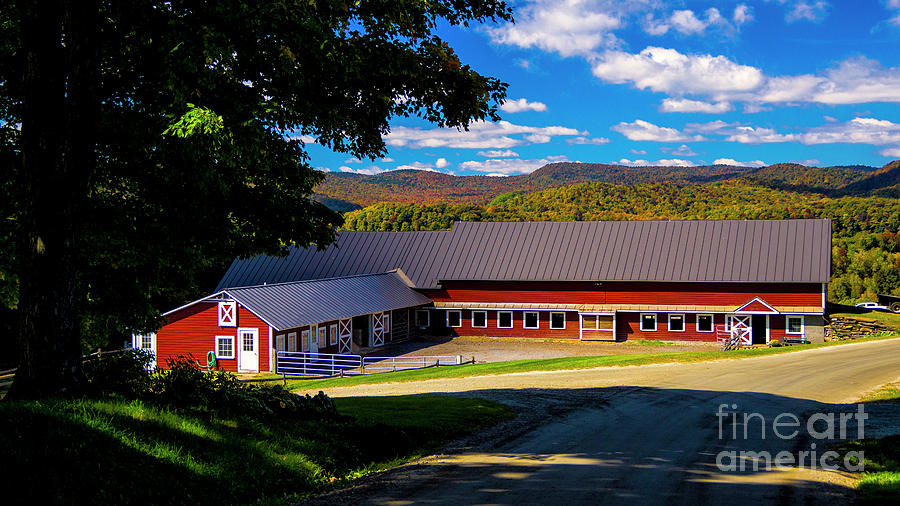 Autumn in Reading Vermont Photograph by Scenic Vermont Photography