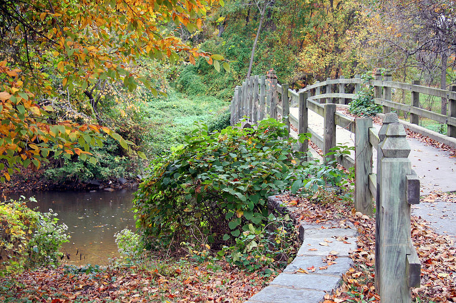 Autumn In Rock Creek Park With Bridge Photograph by Cora Wandel