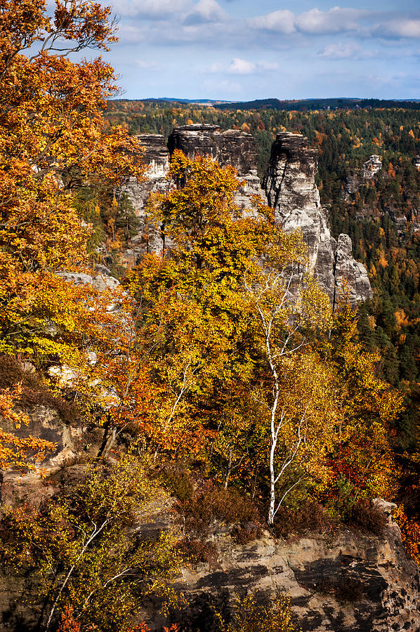 Autumn in Saxon Switzerland Photograph by Jenny Rainbow